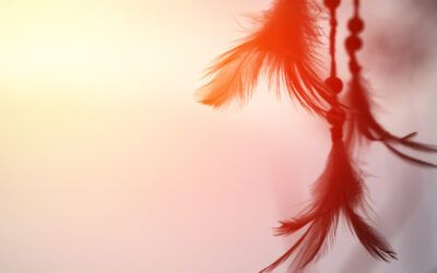 Native American Rights Funds